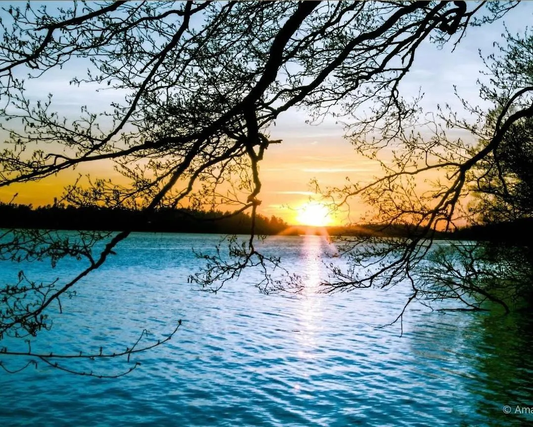 Close To The Metro And The Beach!!! With A View Of The Scandinavian Forest Stockholm Apartment