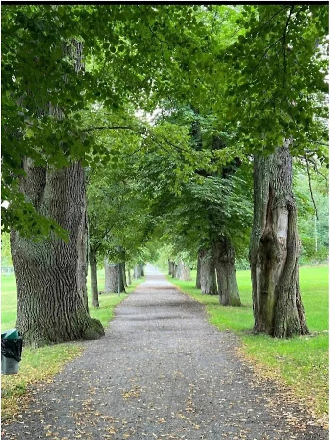 Close To The Metro And The Beach!!! With A View Of The Scandinavian Forest Stockholm